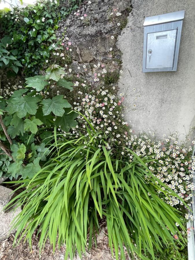 La Boheme Vannes, Penty Centre Proche Gare Holiday home Vannes